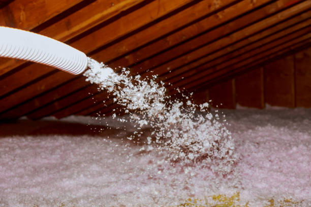 Best Best Insulation Companies  in Waynesburg, PA